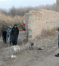 طالبان تقتل 20 شرطي في افغانستان