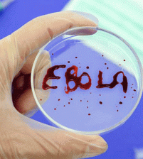 فيروس ايبولا يظهر من جديد في الكونغو