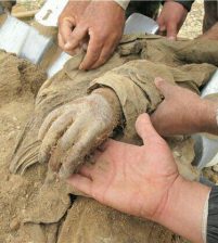 مقابر جماعية في ولاية سربل افتعلها داعش وطالبان