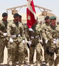 الدنمارك ضمن استراتيجية امريكا في افغانستان