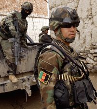 وزارة الدفاع: مقتل العشرات من الإرهابيين في أفغانستان