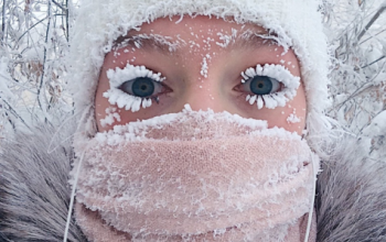 جمال الجليد سيلفي في سيبيريا