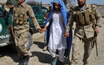 طالبان تقتل 3 من الشرطة في ولاية هرات